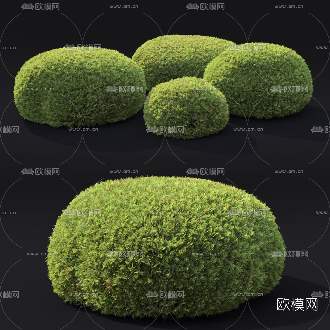 现代灌木绿篱3d模型下载（渲染图1）