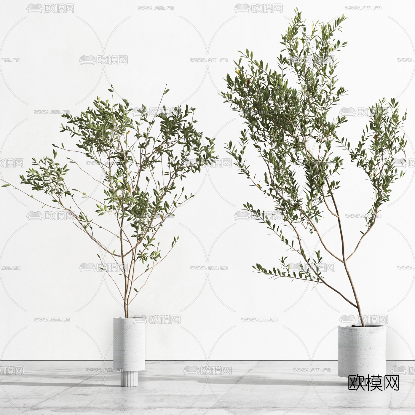 现代植物盆栽3d模型下载