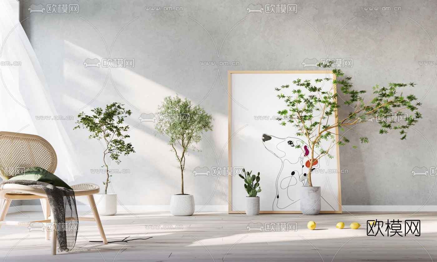 现代植物盆栽3d模型下载（渲染图1）