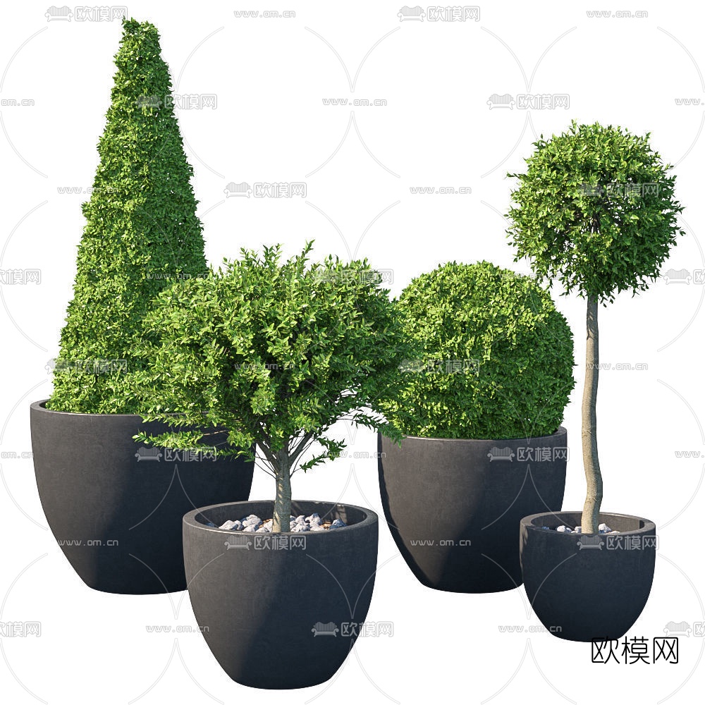 现代绿植盆栽3d模型