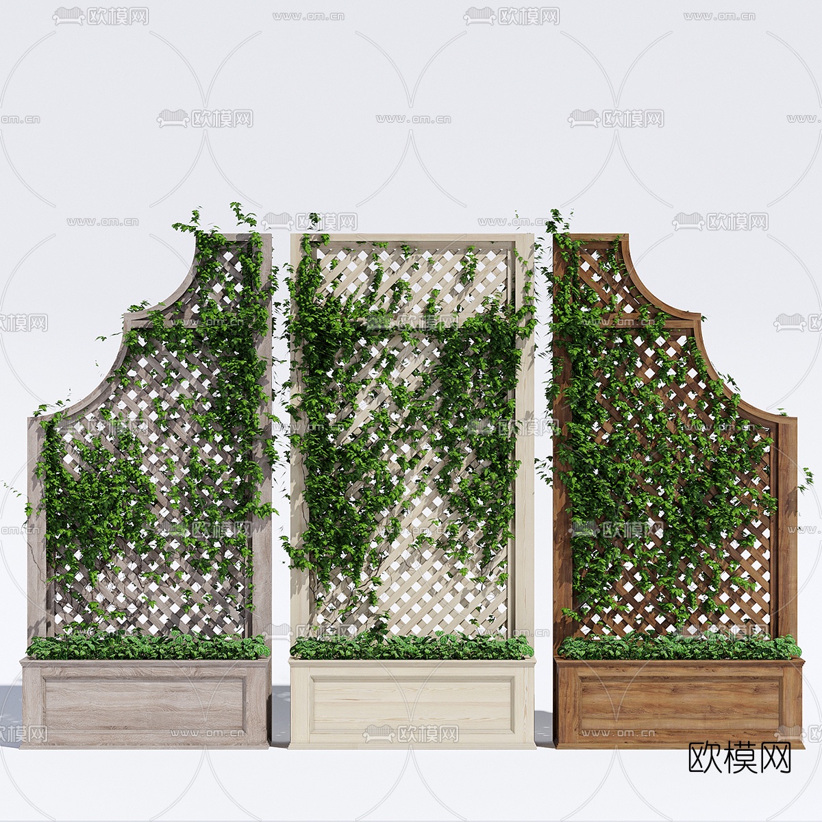 现代绿植藤蔓3d模型