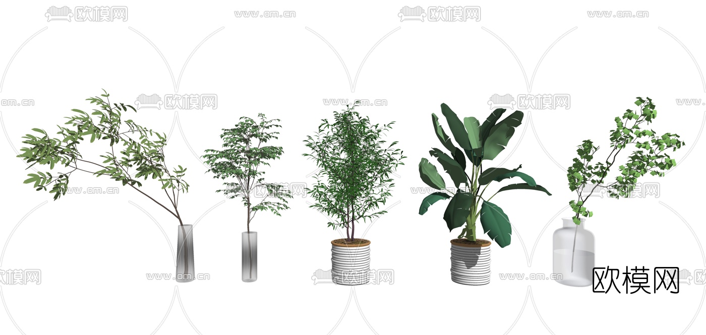 现代植物盆栽su模型