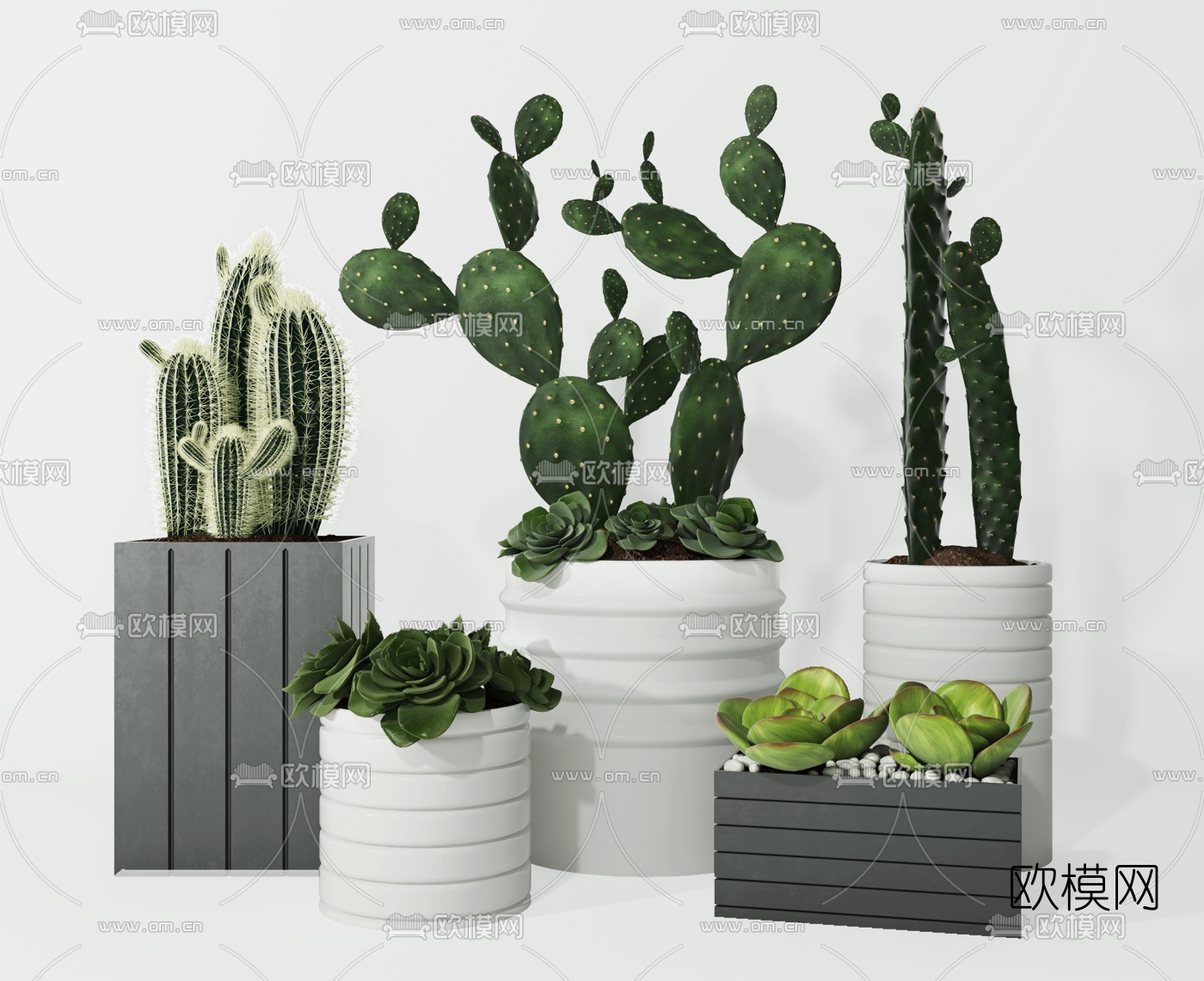 北欧仙人掌盆栽3d模型下载