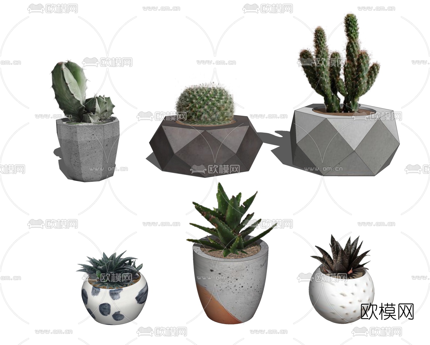 现代多肉植物盆栽su模型