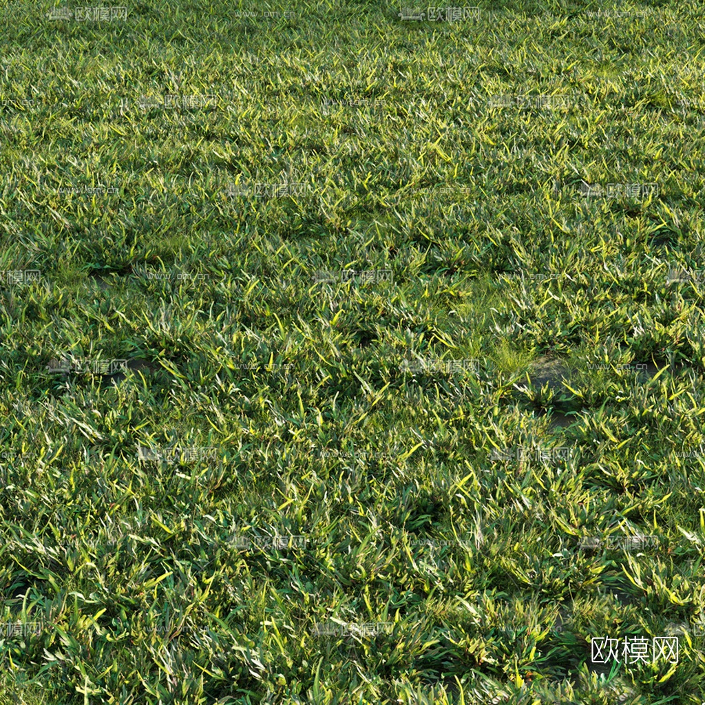 现代草地草坪3d模型下载（渲染图1）