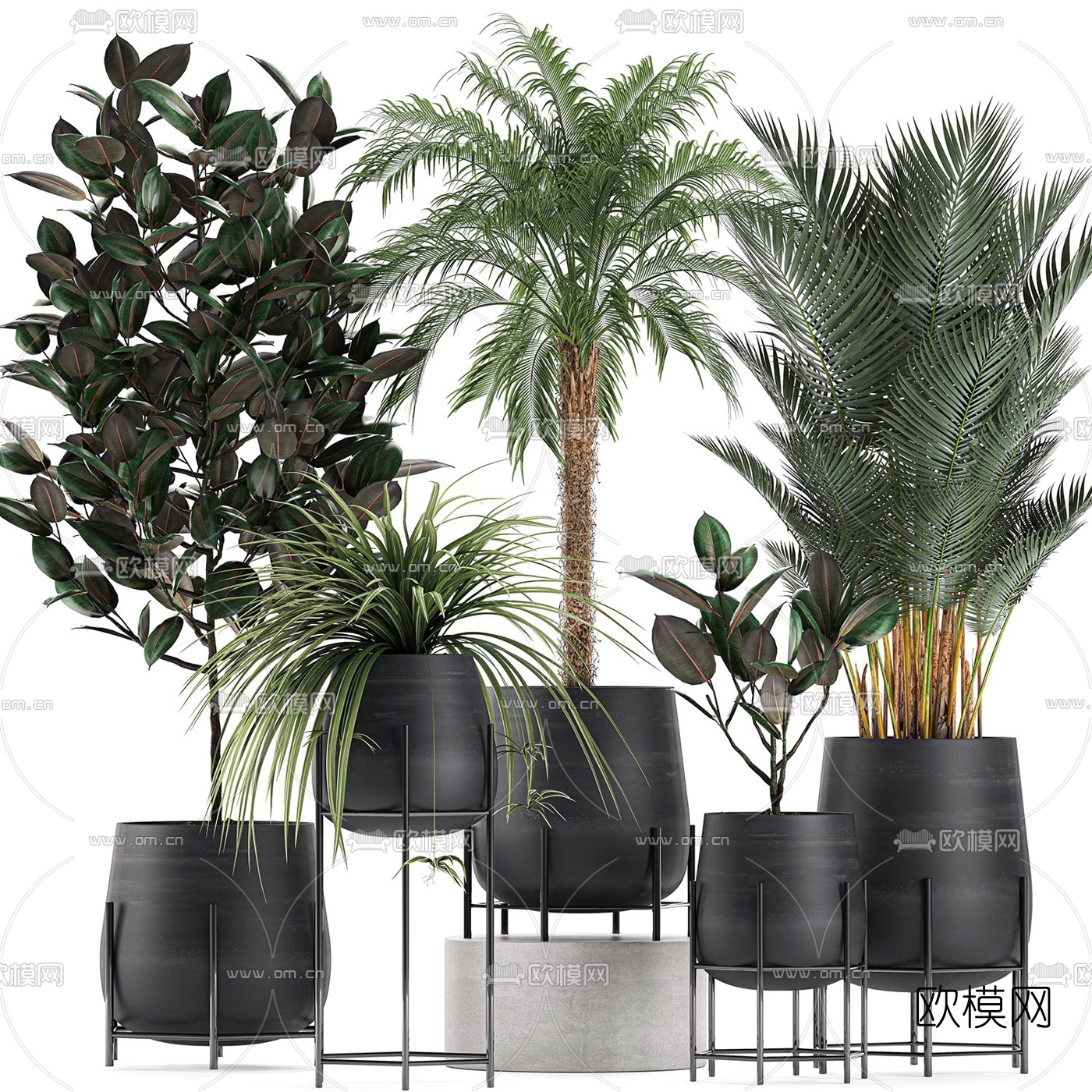 现代绿植盆栽3d模型下载