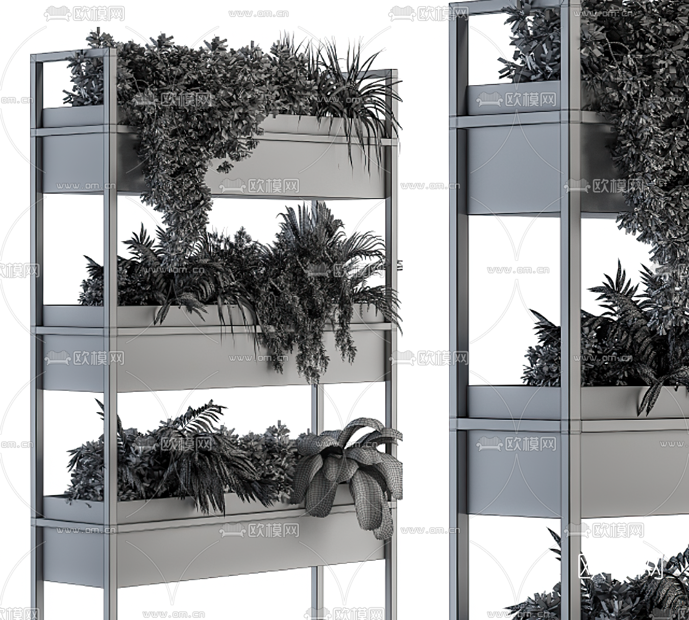 现代绿植盆栽3d模型下载（渲染图5）