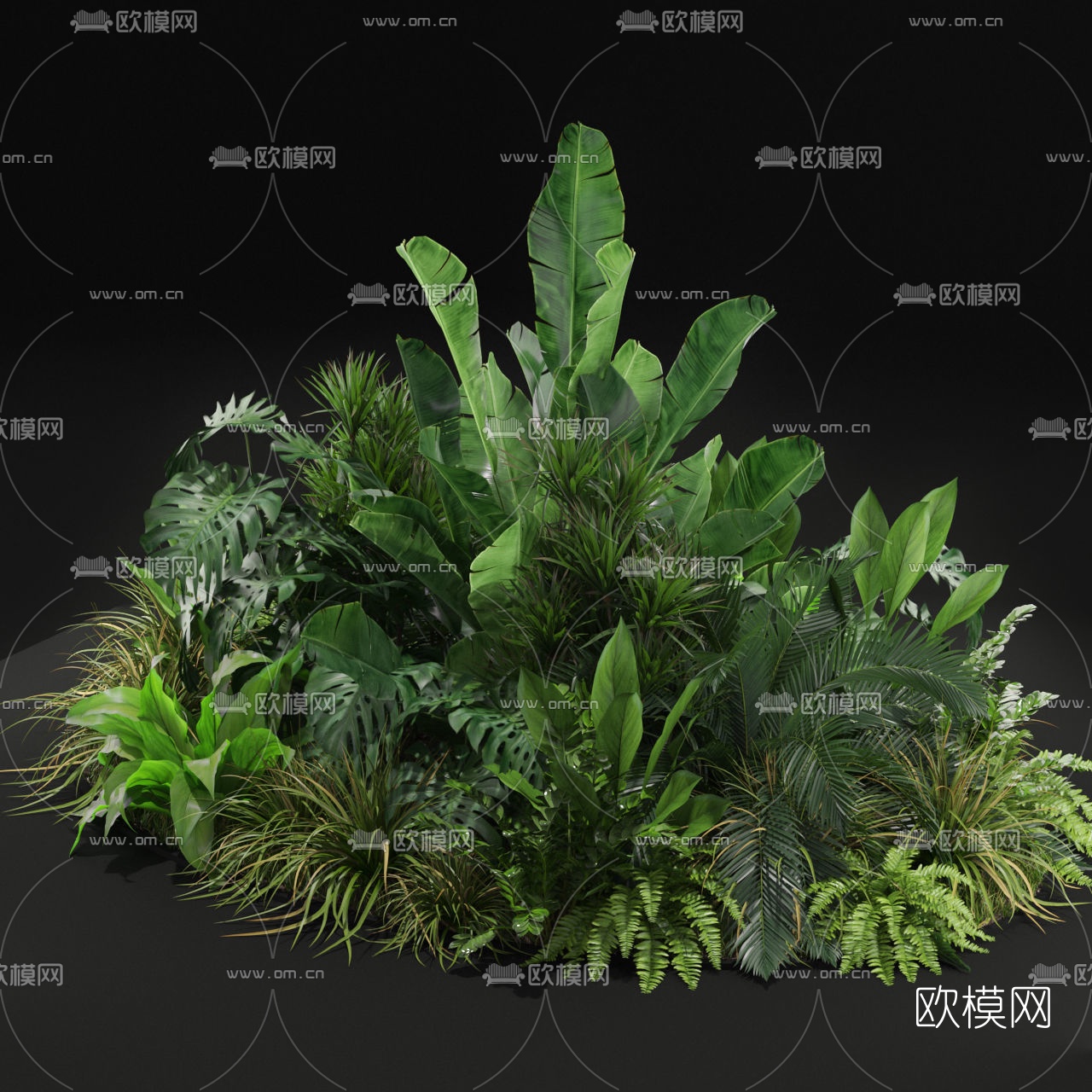 现代绿植灌木丛3d模型下载（渲染图2）