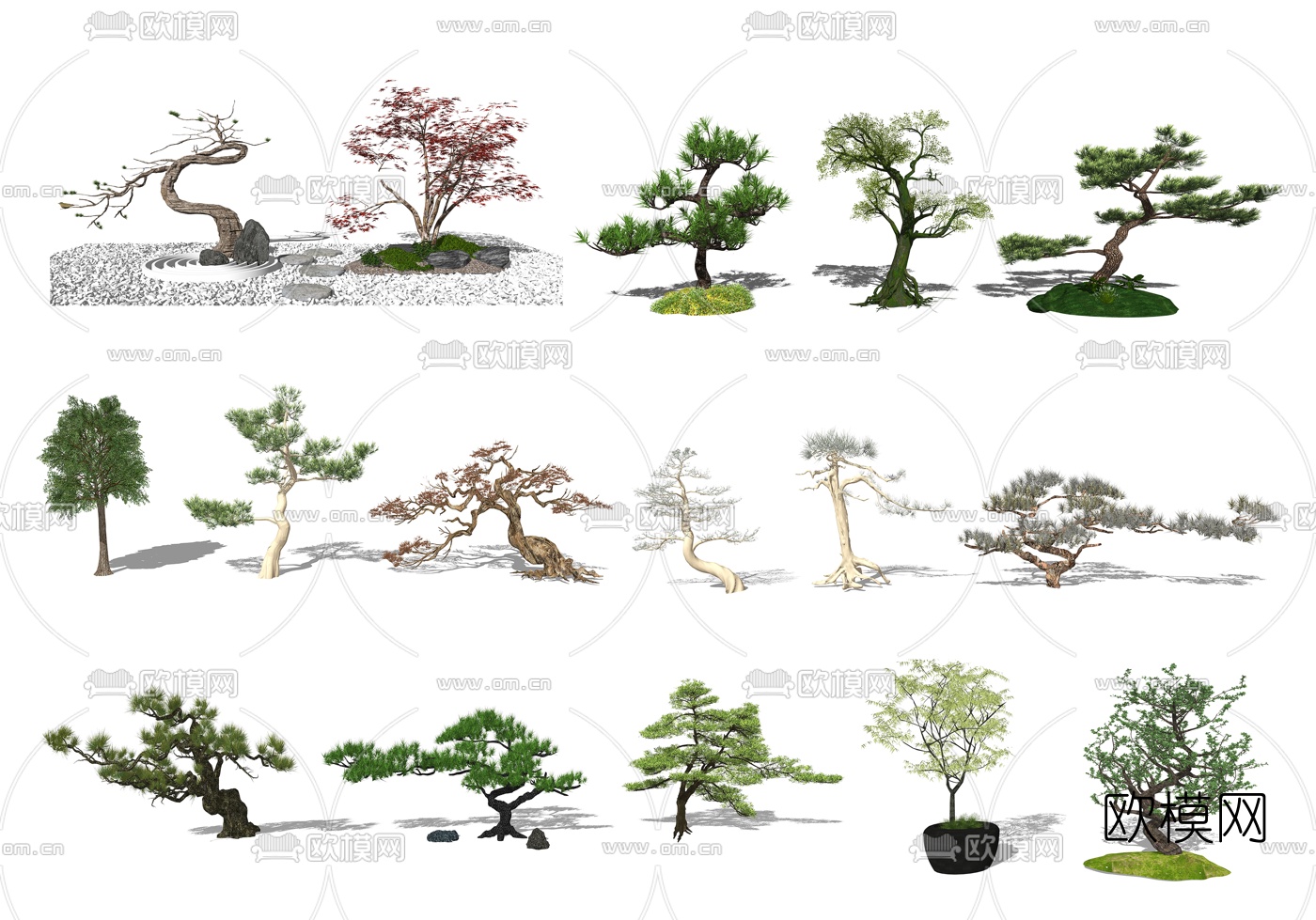 新中式松树景观树组合su模型下载
