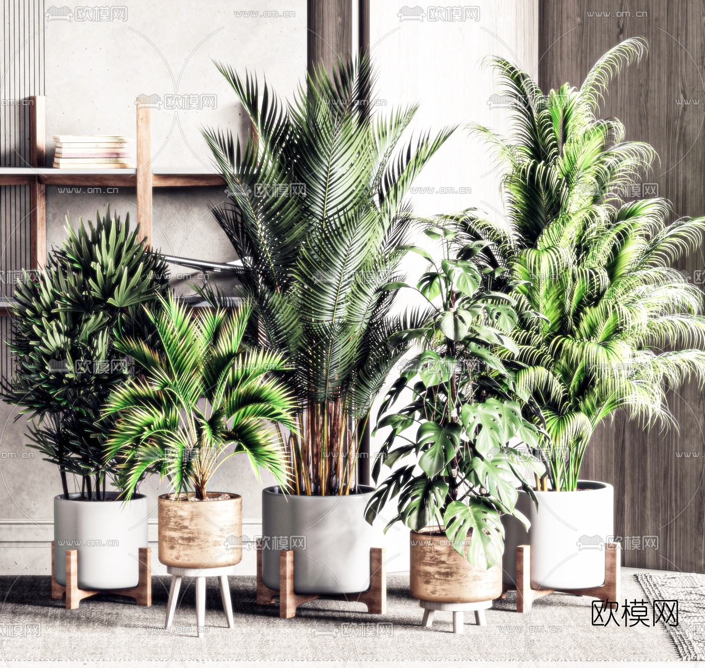 现代绿植盆栽3d模型下载（渲染图1）