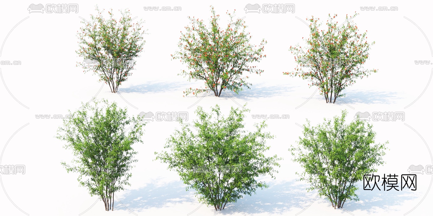现代花草灌木3d模型