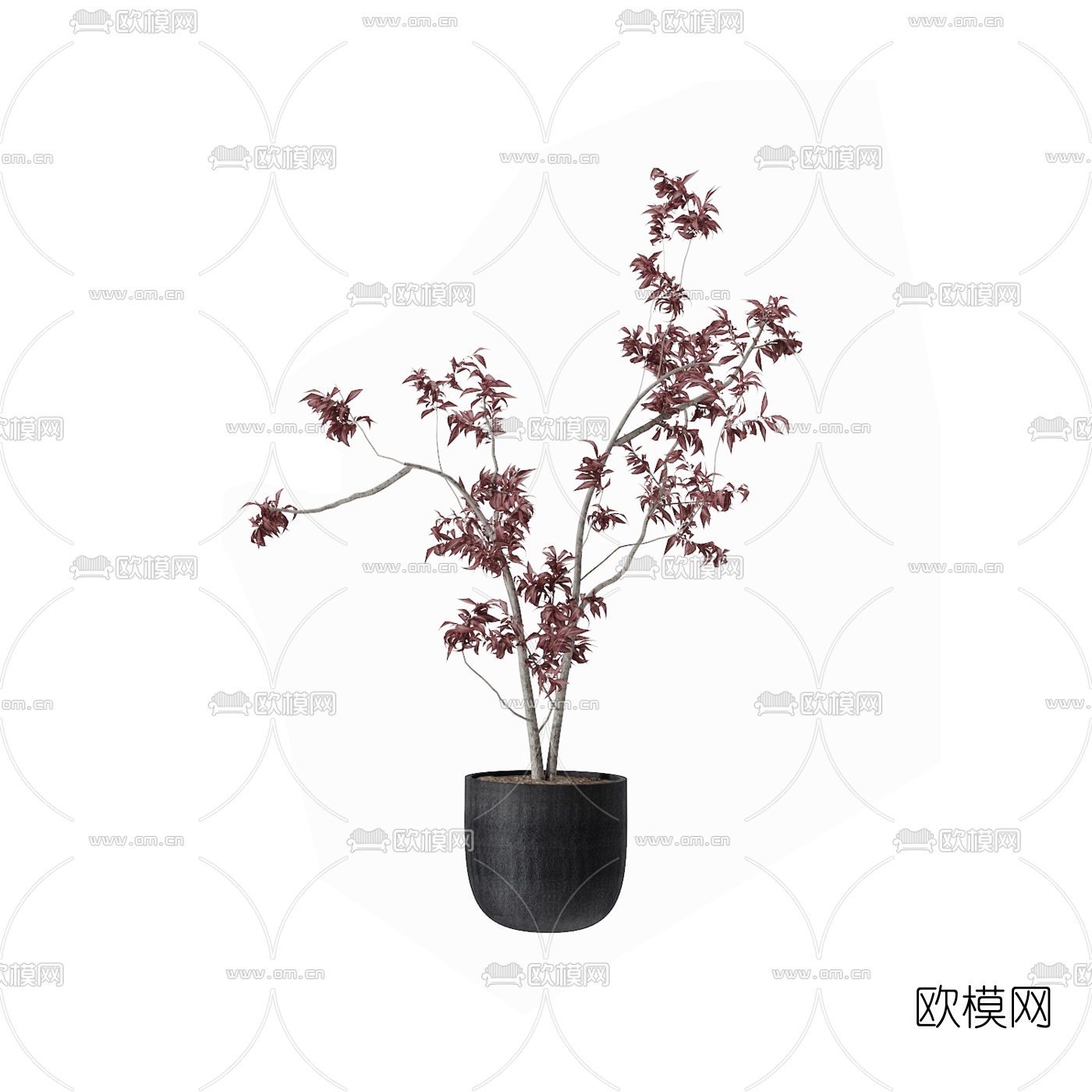 现代绿植盆栽3d模型