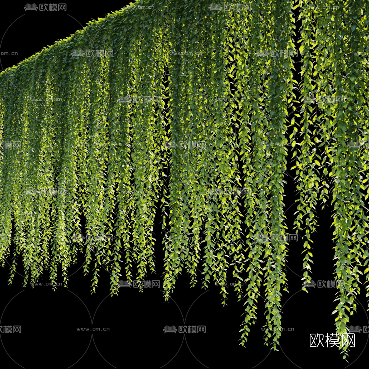 现代绿植藤蔓3d模型