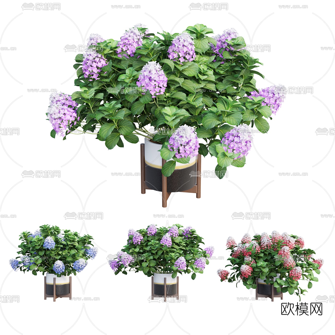 现代鲜花盆栽3d模型下载（渲染图2）