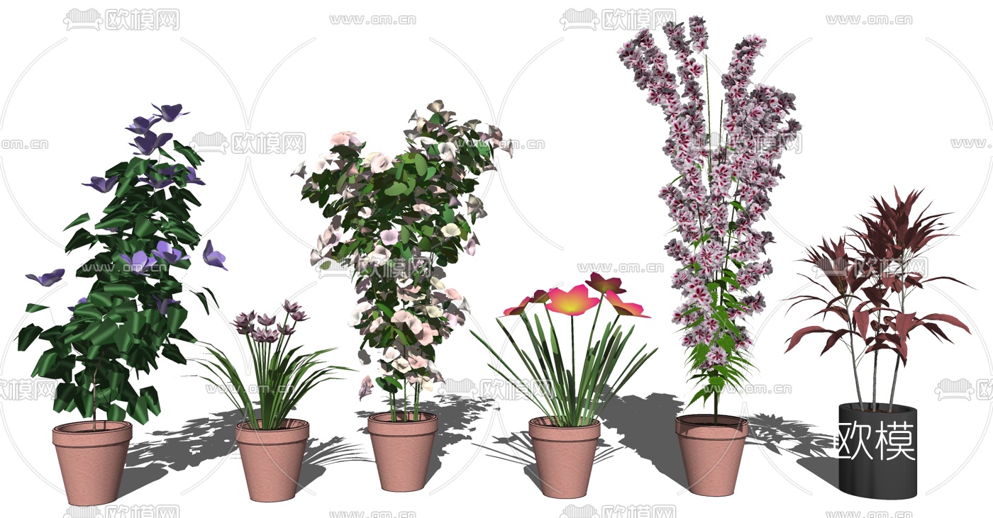现代植物盆栽花卉su模型下载