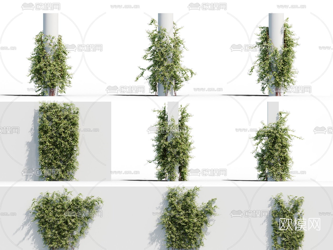 现代植物藤蔓3d模型