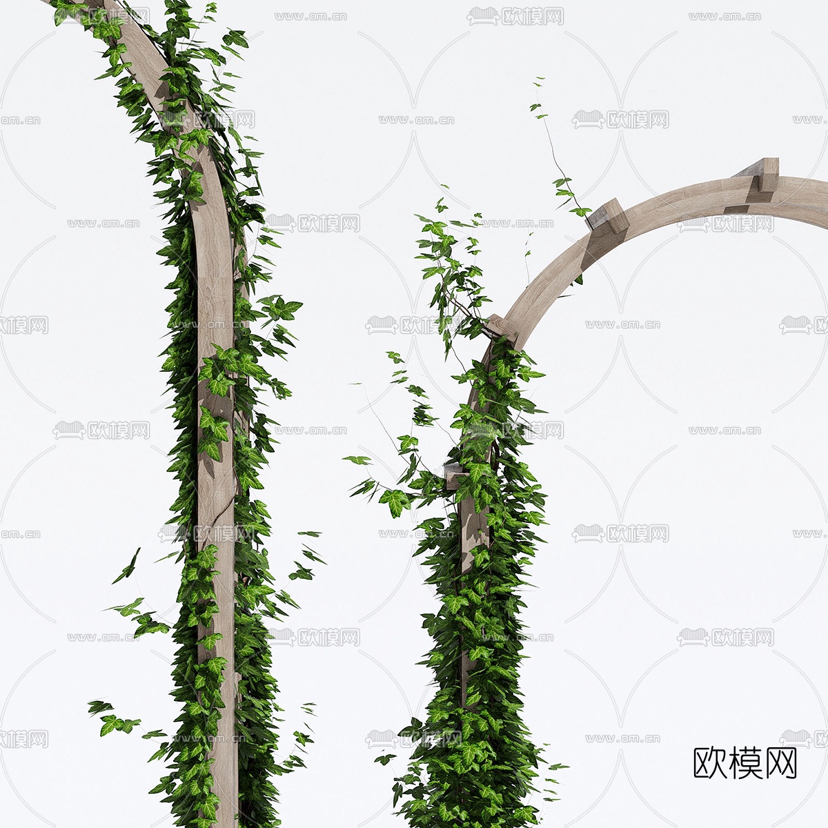现代绿植藤蔓爬架3d模型下载（渲染图2）