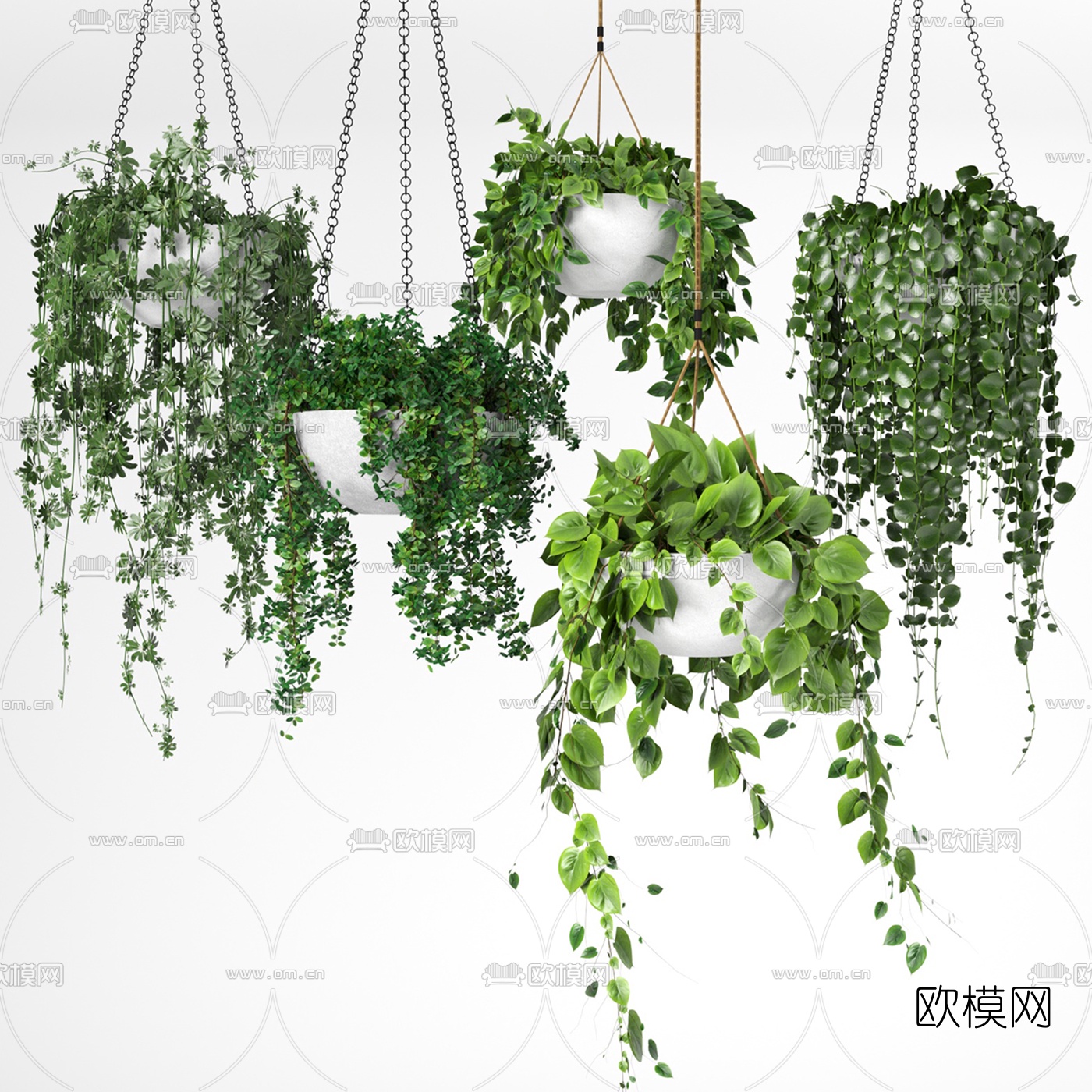 现代吊篮盆栽3d模型下载（渲染图1）