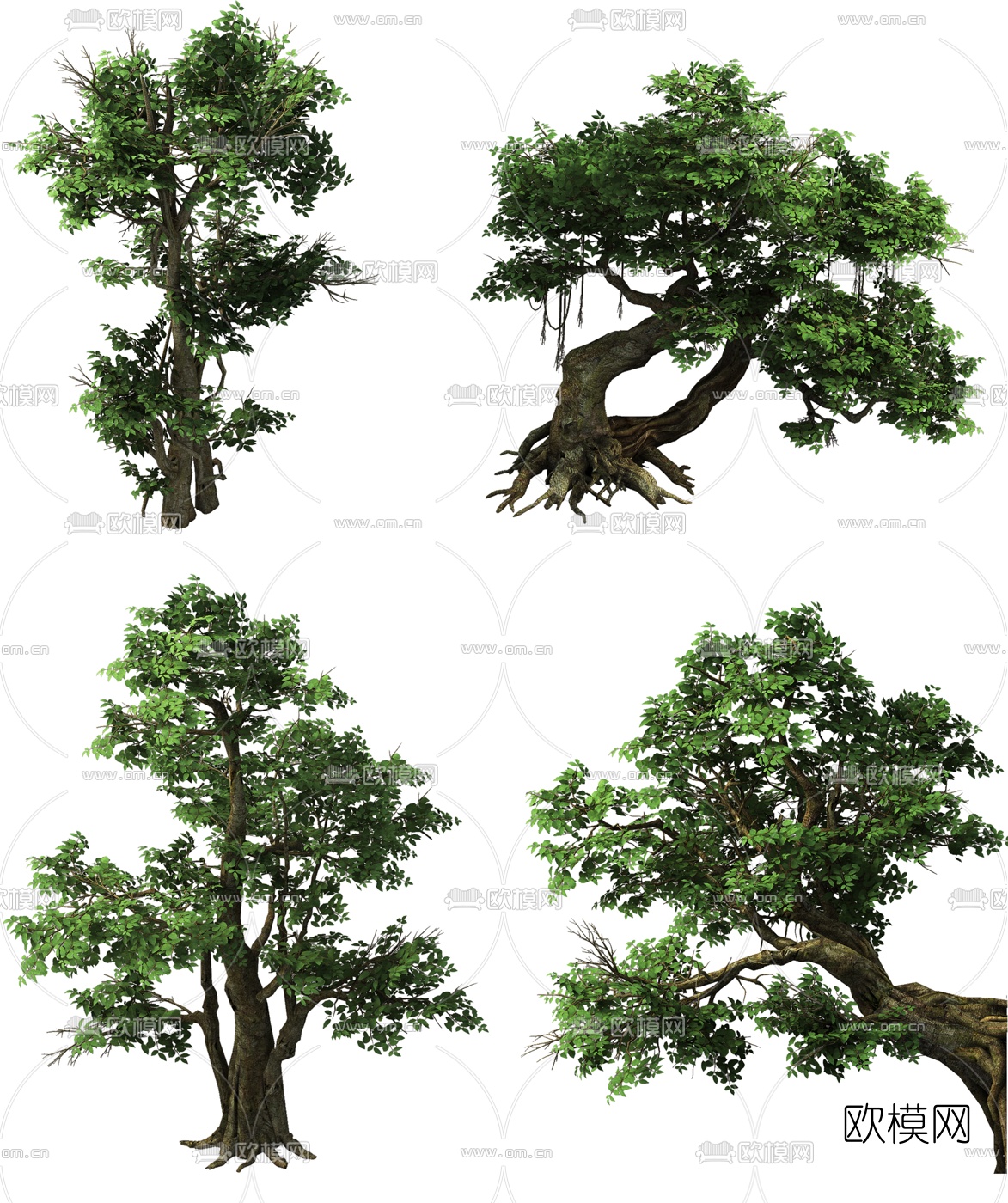 现代榕树景观树3d模型