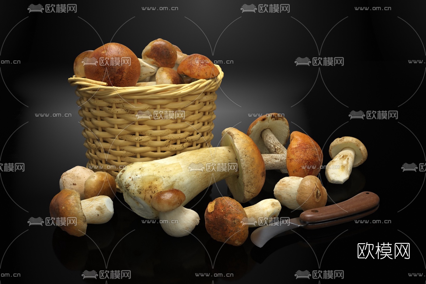 现代蘑菇牛肝菌3d模型