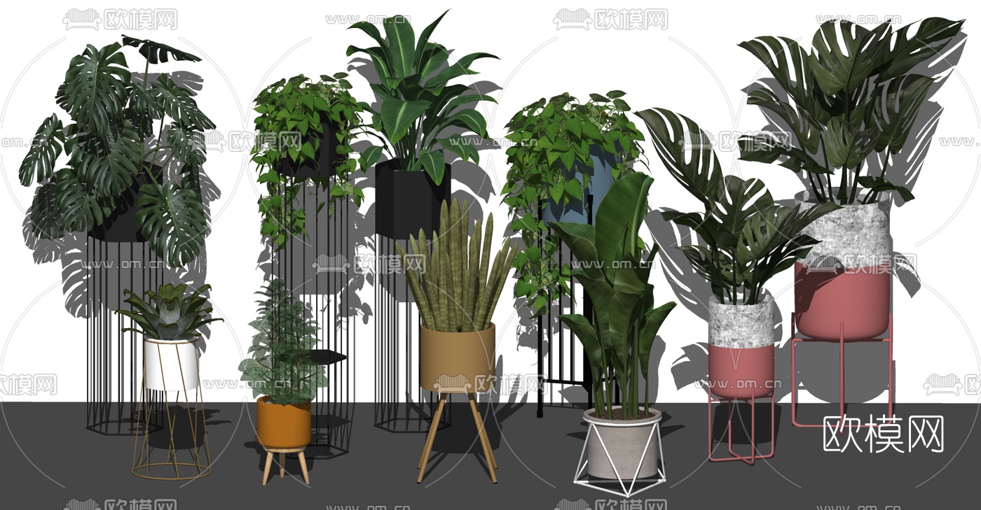 北欧植物盆栽su模型