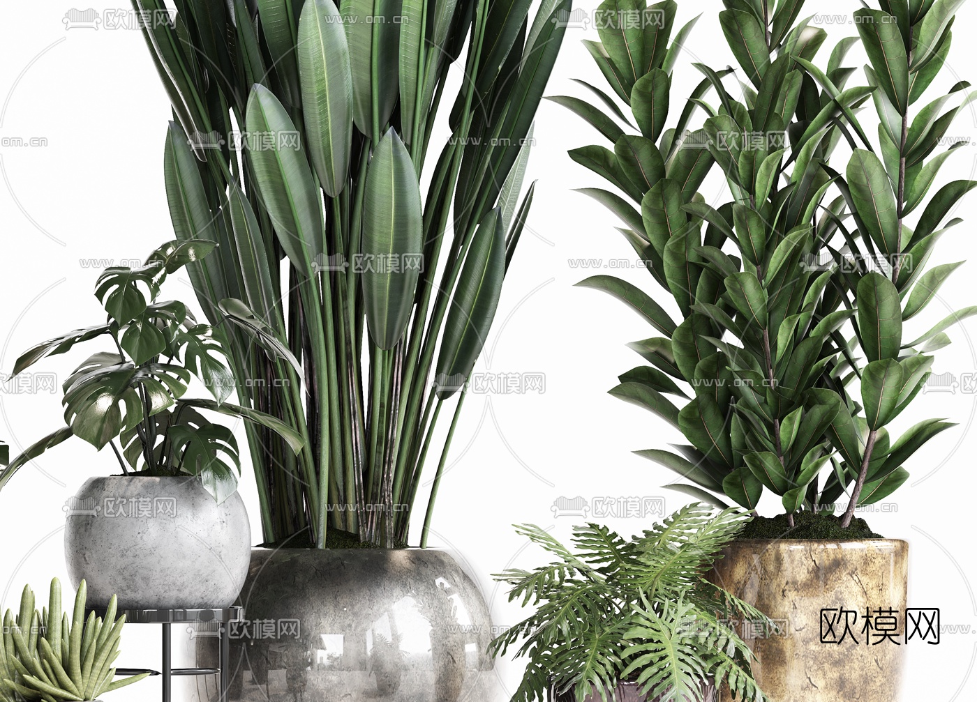 现代绿植盆栽3d模型
