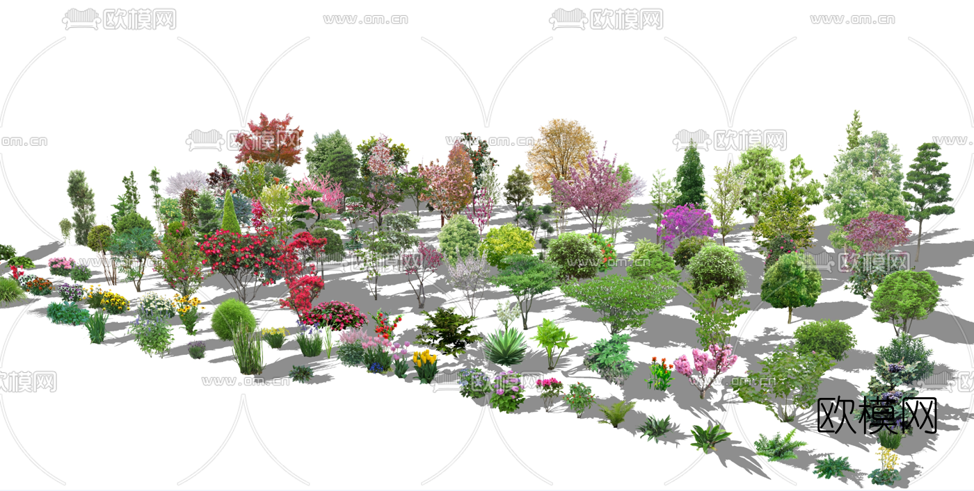 现代2D花草植物su模型下载（渲染图3）