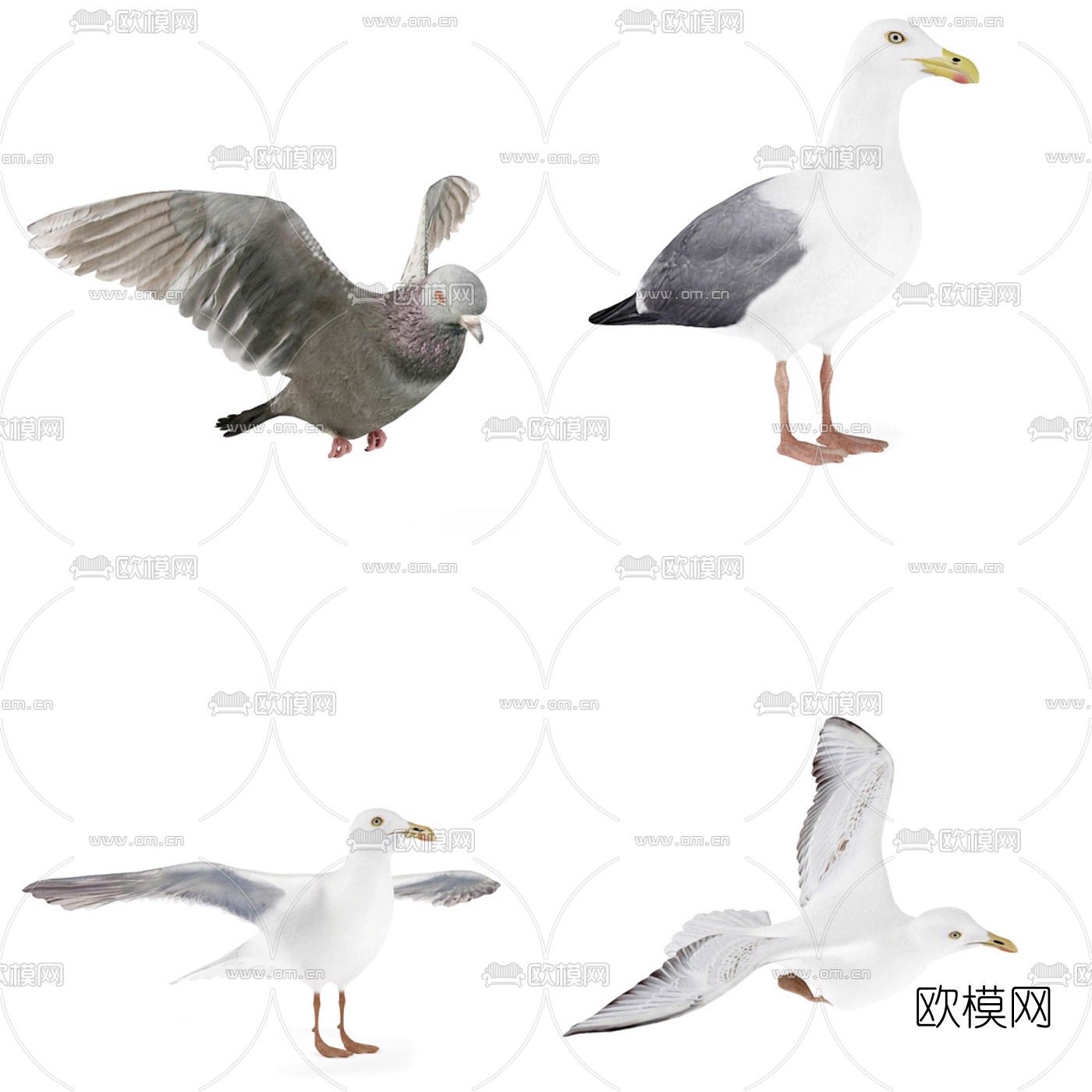 现代海鸥3d模型下载