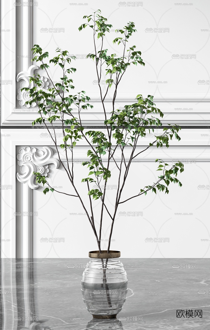 现代水生绿植花瓶3d模型下载（渲染图2）