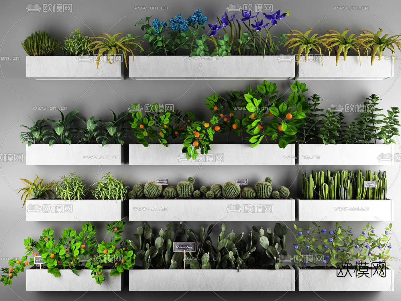 现代绿植花草盆栽3d模型下载