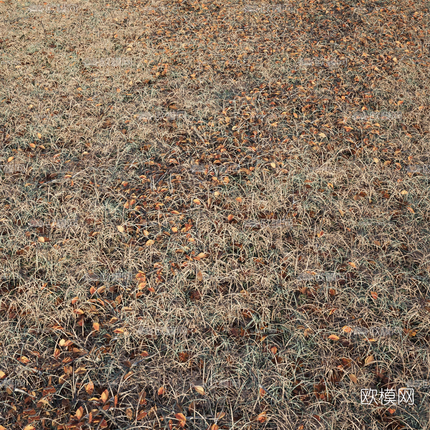 现代秋季落叶干草地3d模型下载（渲染图5）