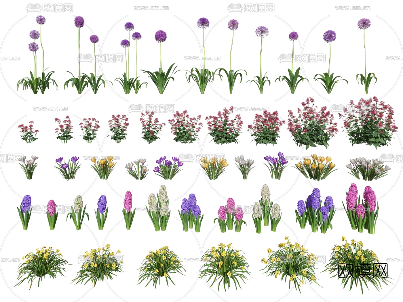 现代花草3d模型下载（渲染图1）