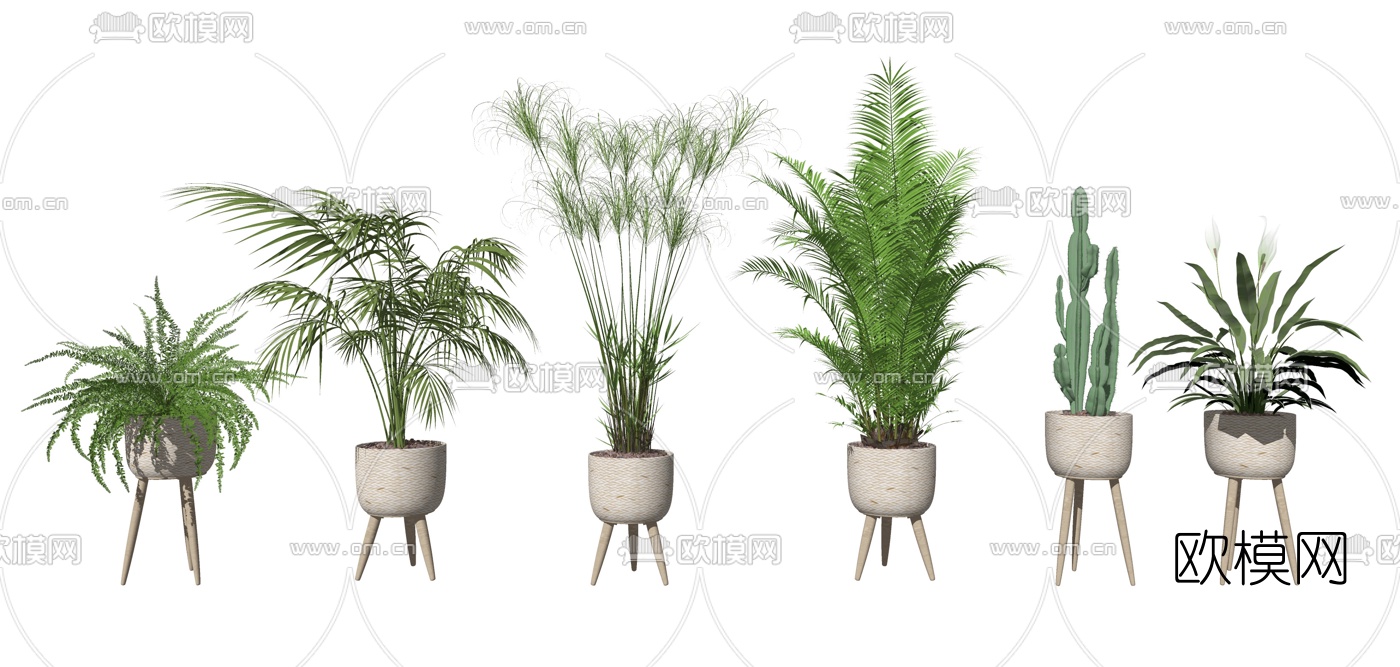 现代绿植盆栽su模型