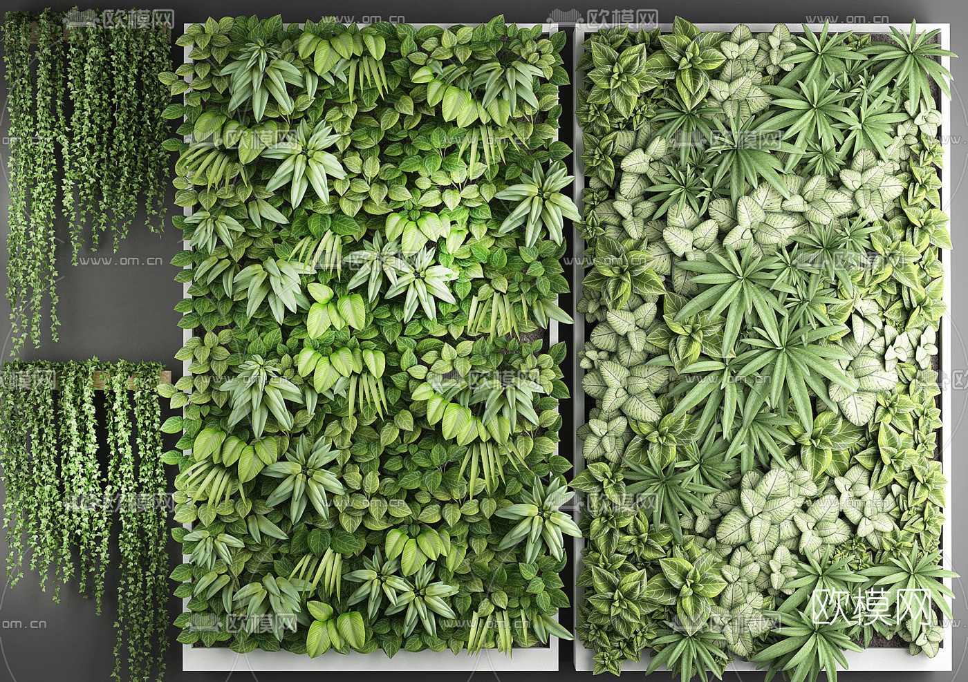 现代绿植花草植物墙3d模型下载