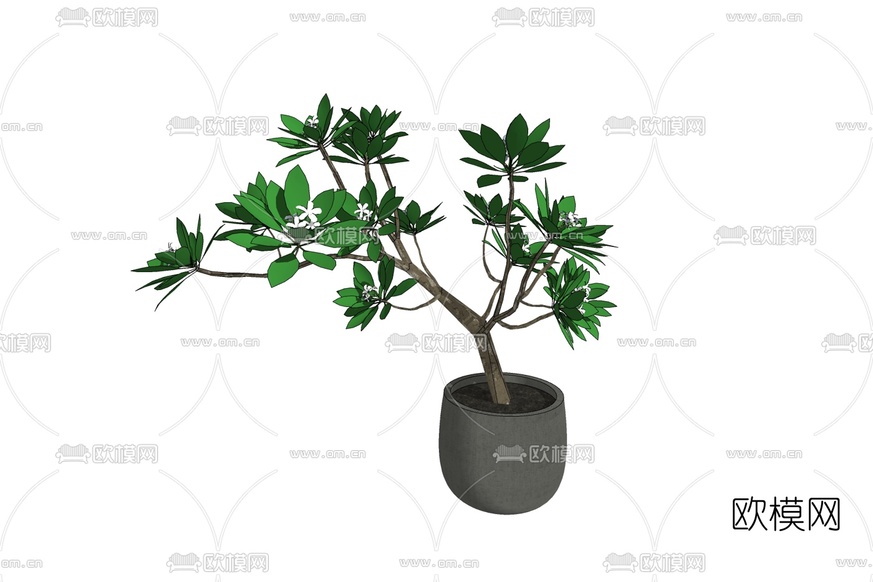 现代绿植盆栽免费su模型下载