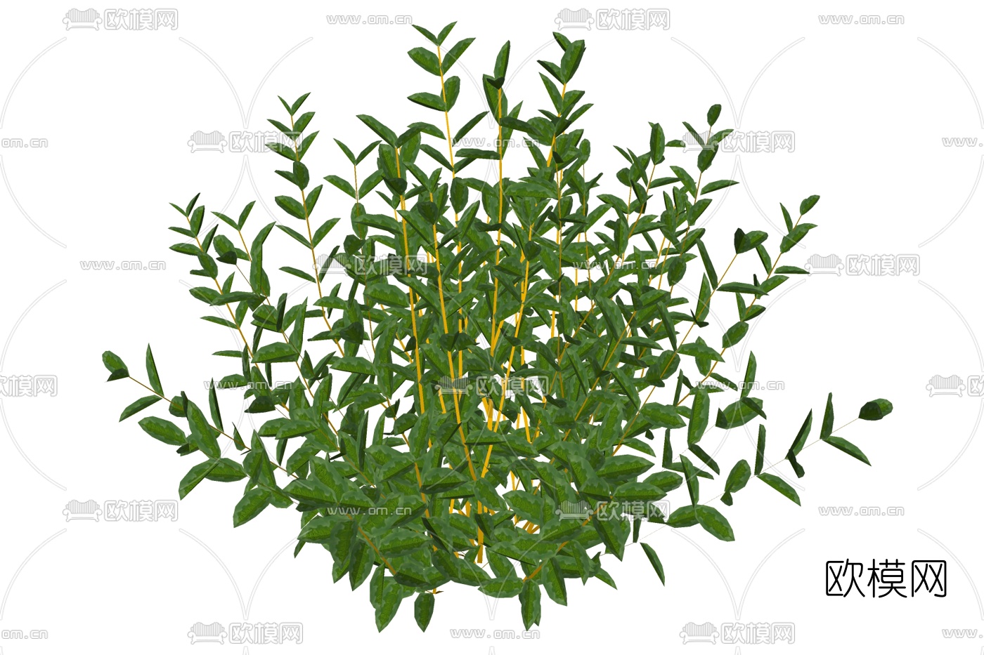 现代黄石斛su模型下载