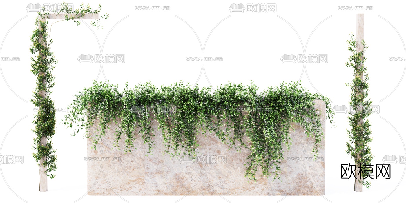 现代花草藤蔓3d模型