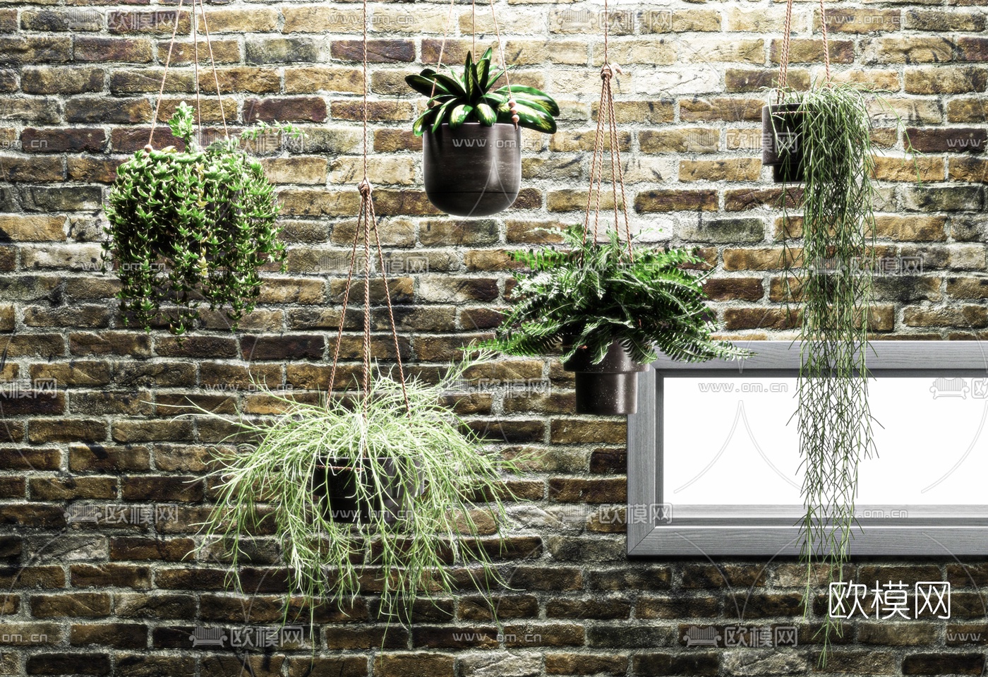 现代吊篮盆栽3d模型下载（渲染图3）