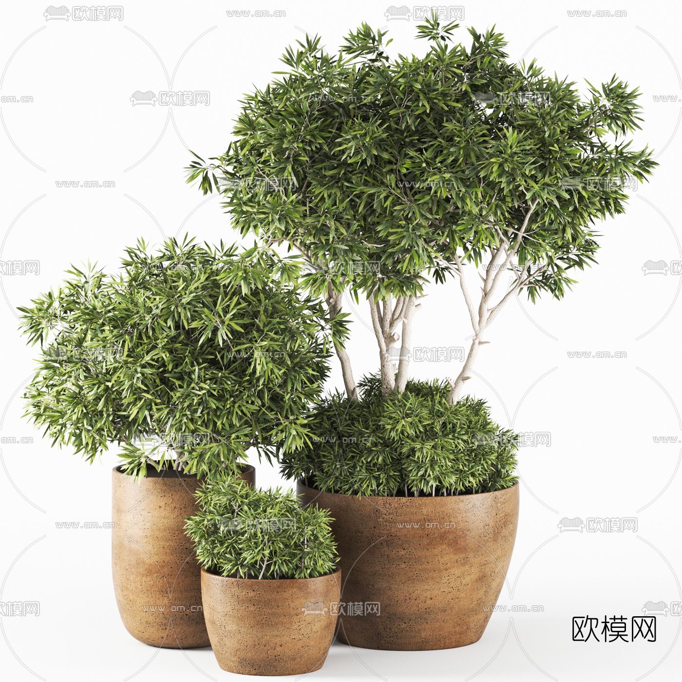 现代绿植盆栽3d模型下载