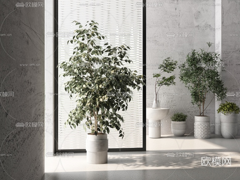 现代绿植盆栽3d模型下载