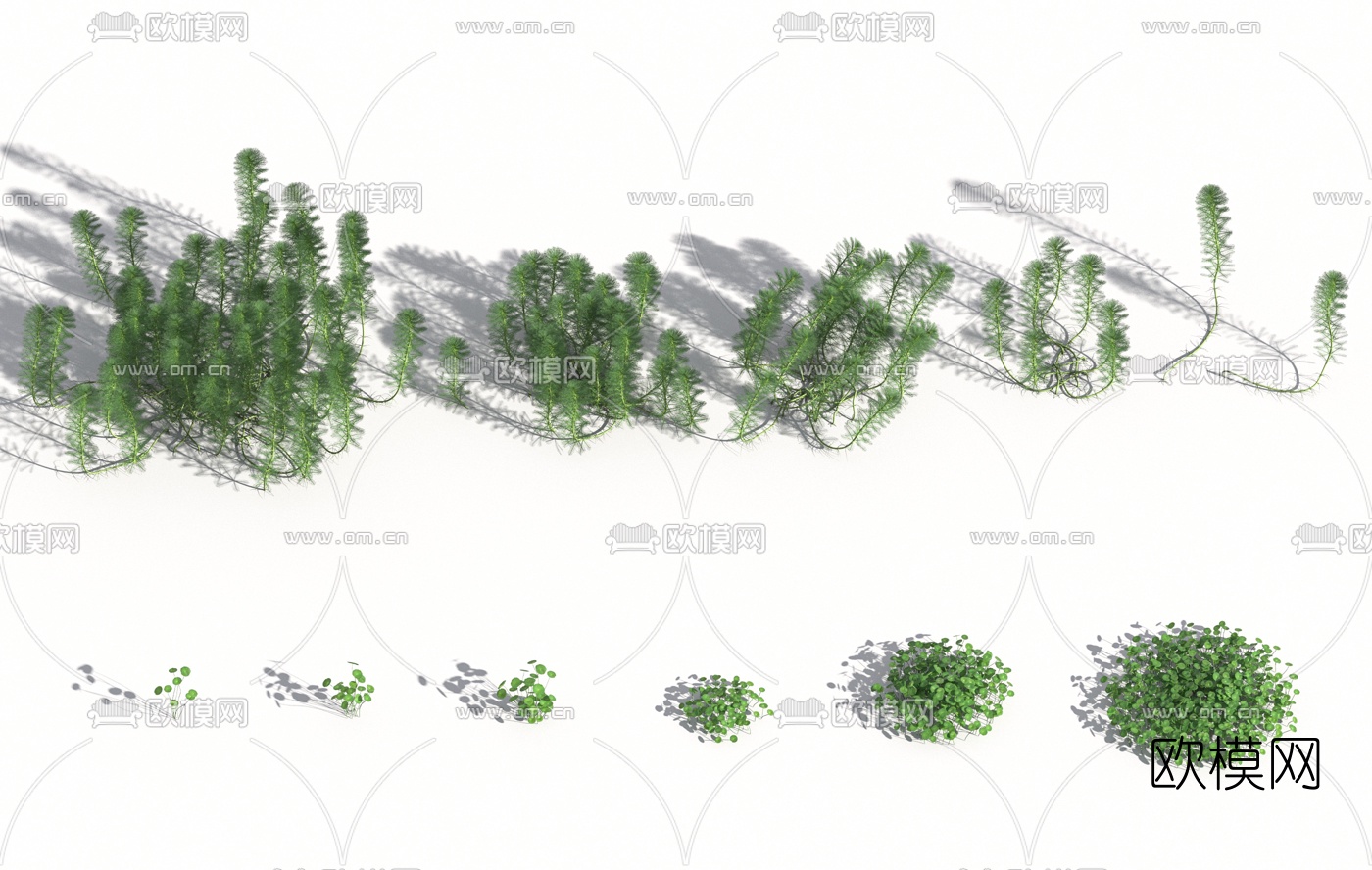 现代水边花草免费3d模型下载