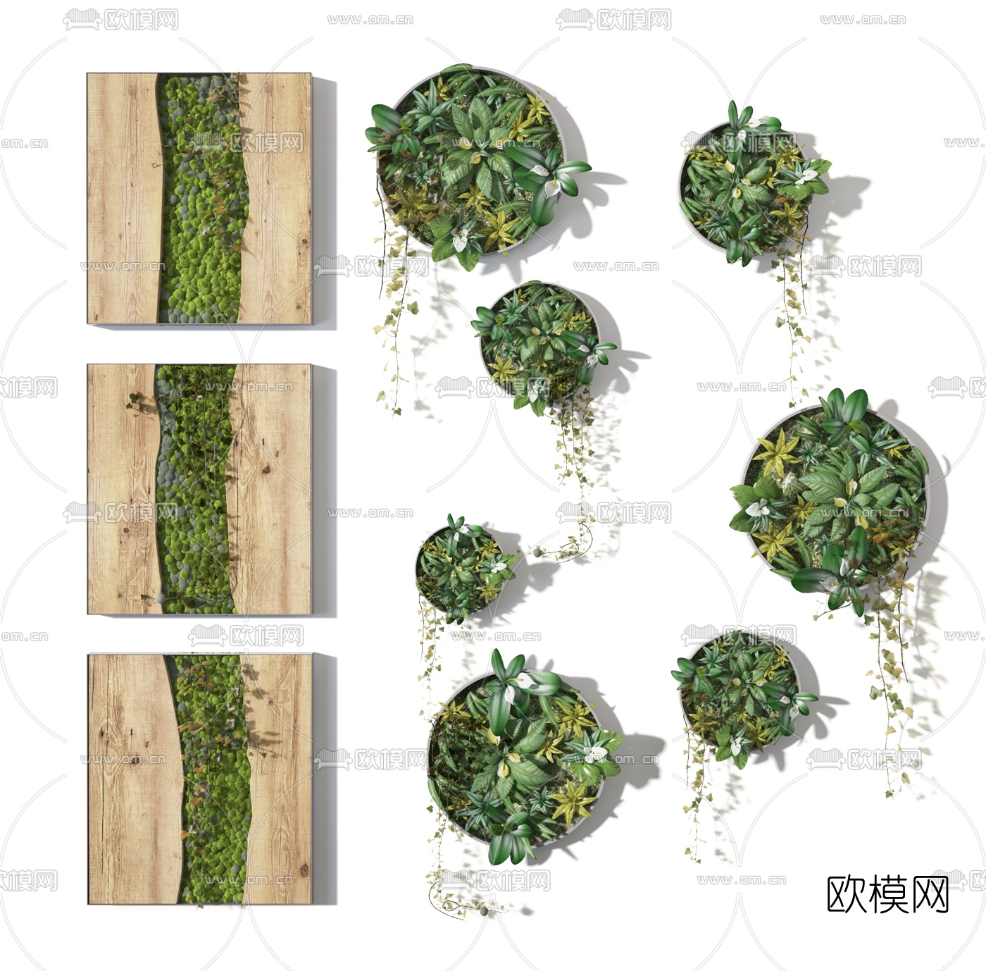 现代绿植多肉植物墙3d模型