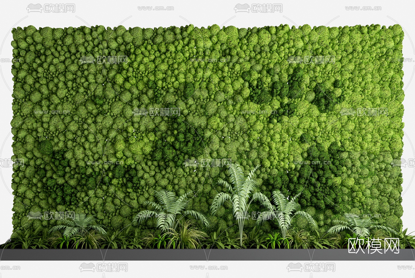 现代绿植植物墙3d模型
