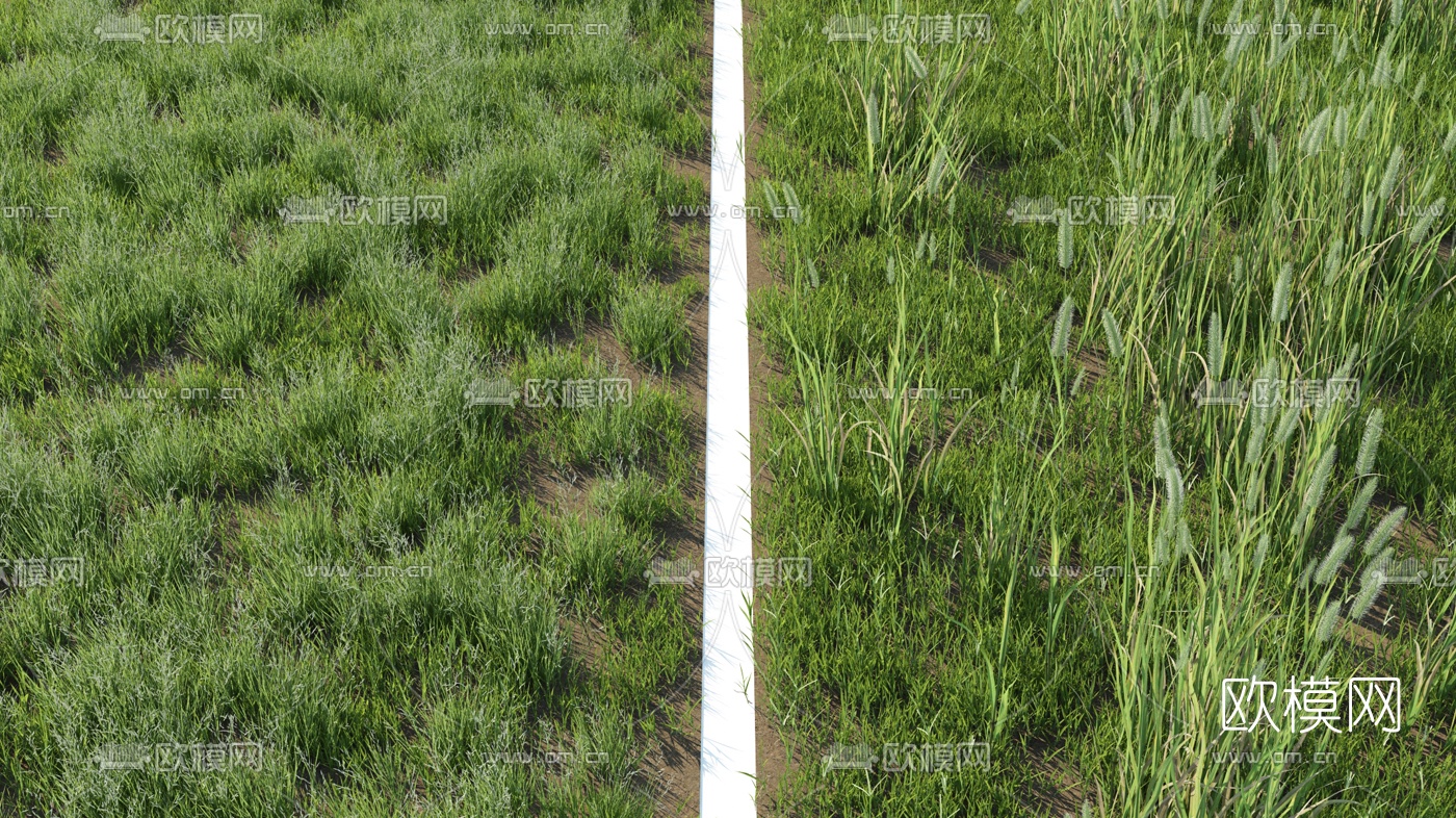 现代草地草坪3d模型下载（渲染图4）