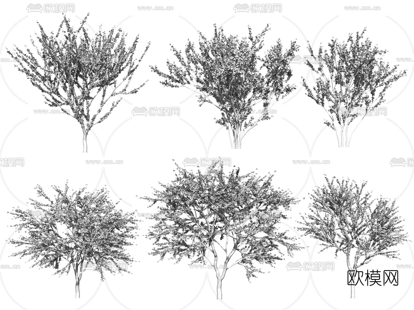 现代紫荆花植物3d模型下载（渲染图3）
