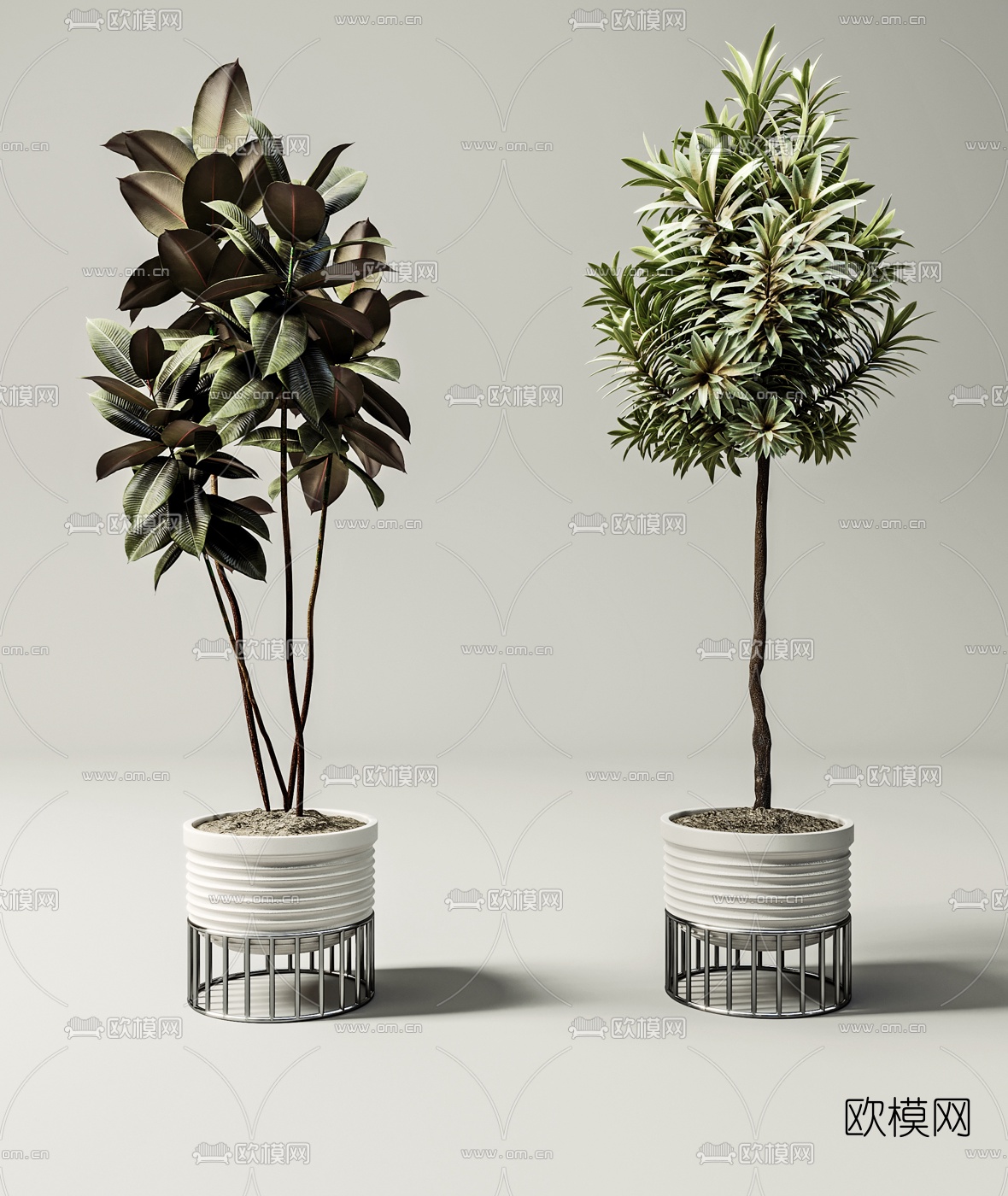 现代绿植盆栽盆景3d模型