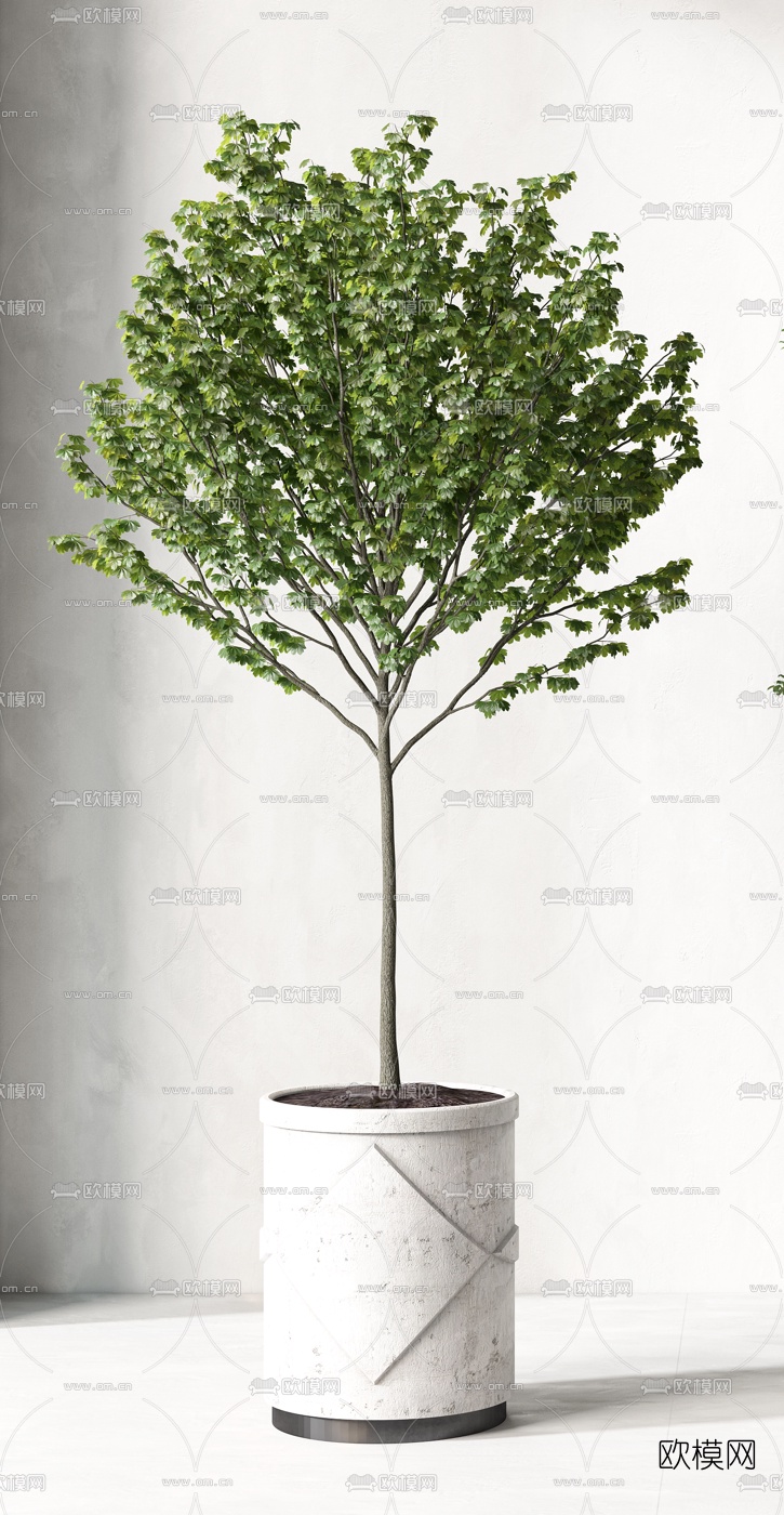 现代绿植盆栽3d模型