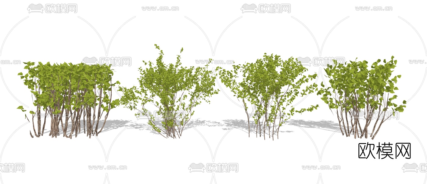 现代灌木绿篱植物su模型