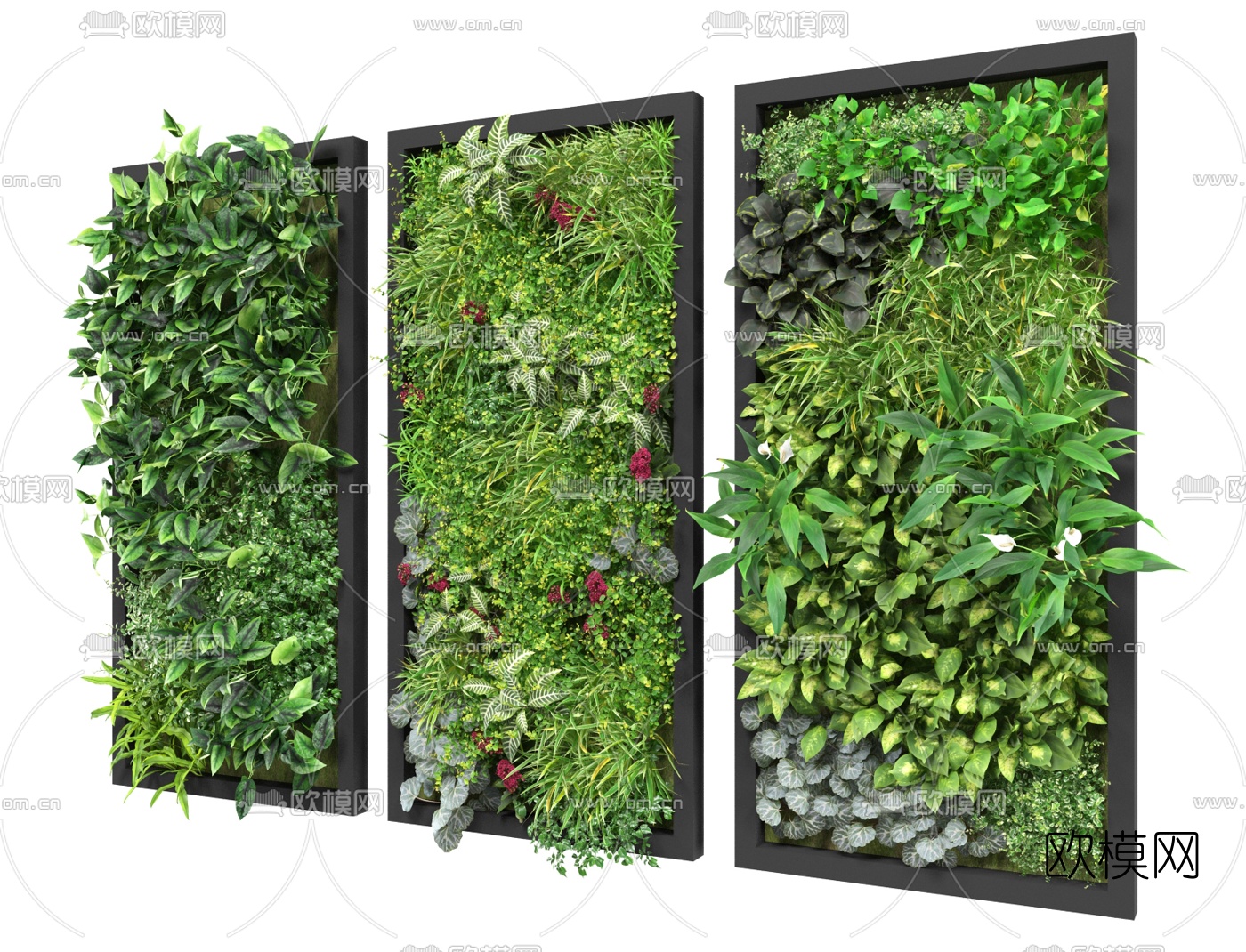 现代花草绿植墙3d模型
