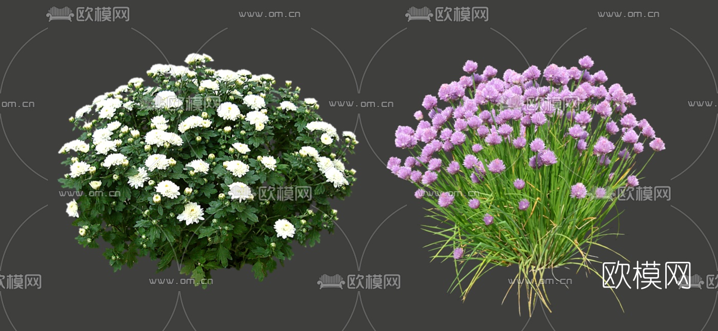 现代球形灌木花卉组件su模型下载